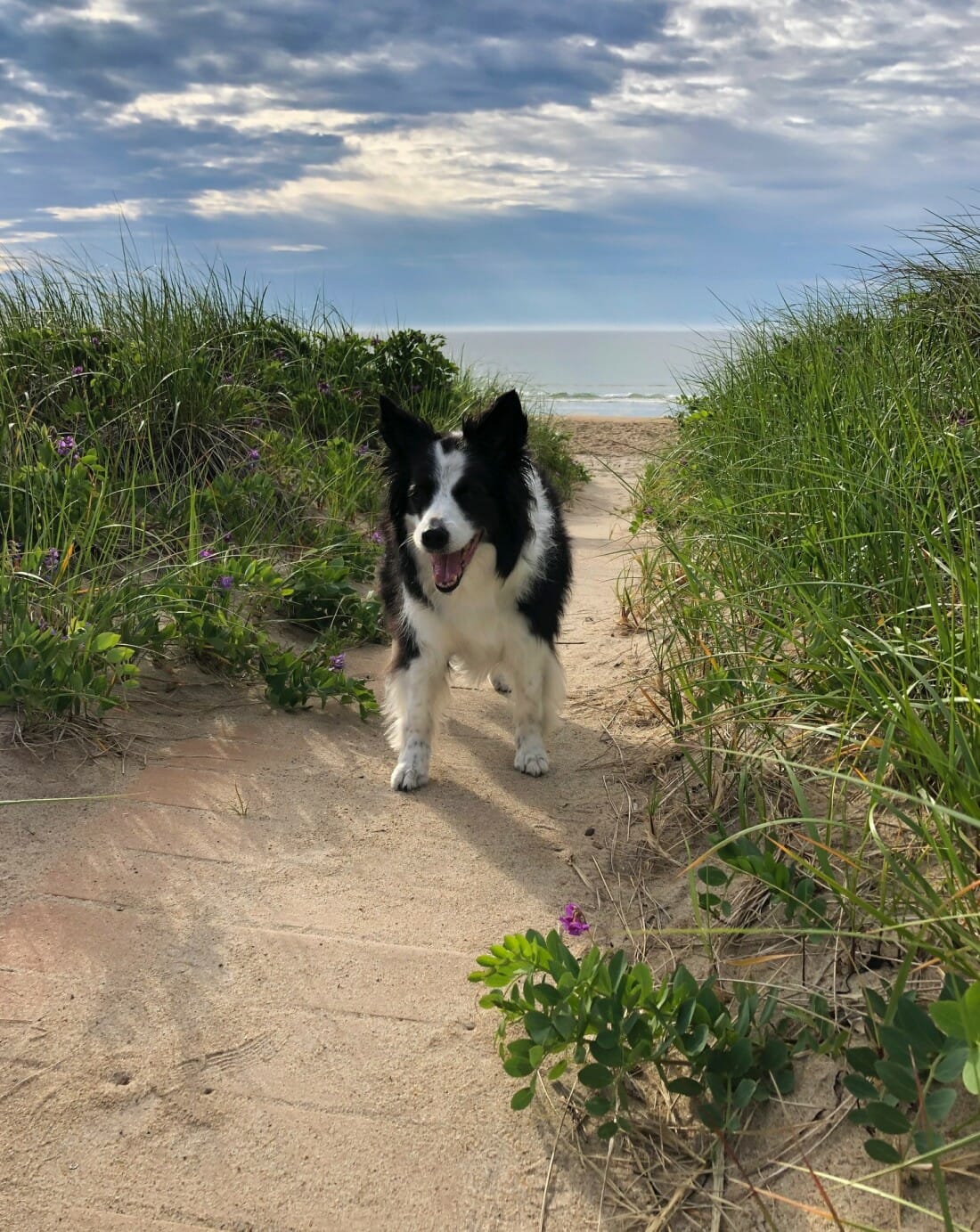 keiko3 Keiko